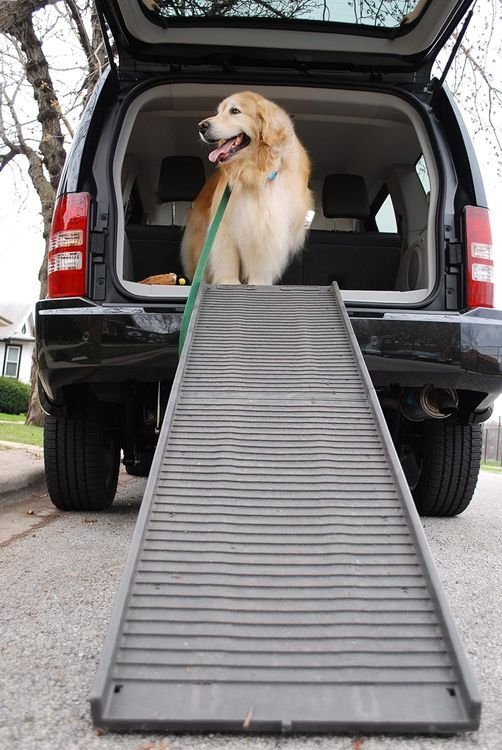 No. 8 - Petstep Dog Safety Ramp - 3