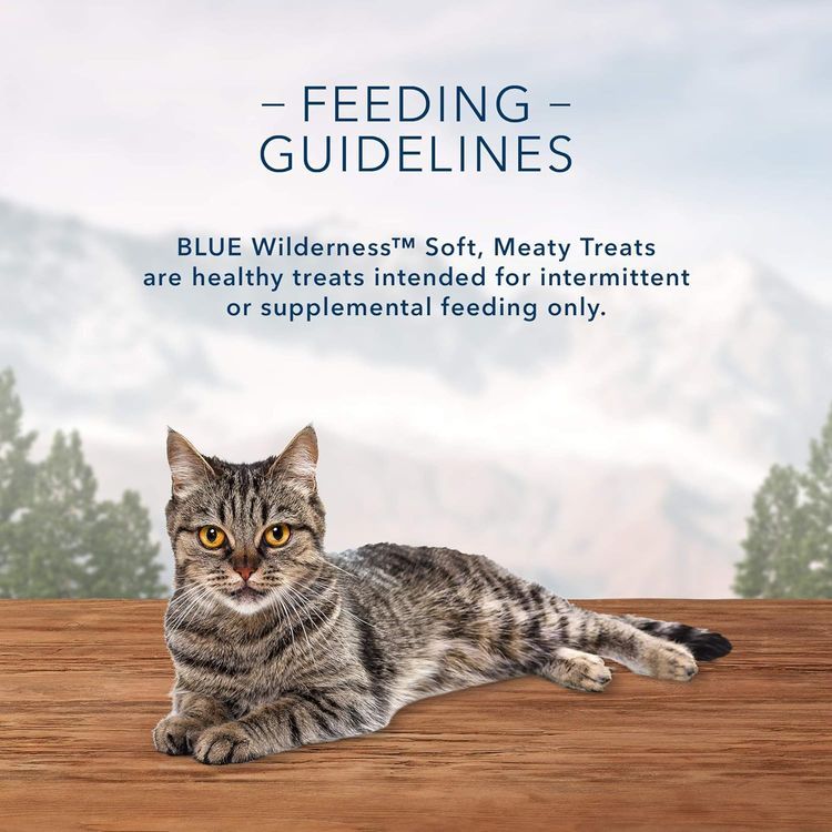 No. 1 - Blue Buffalo Wilderness Grain Free Soft-Moist Cat Treats - 5