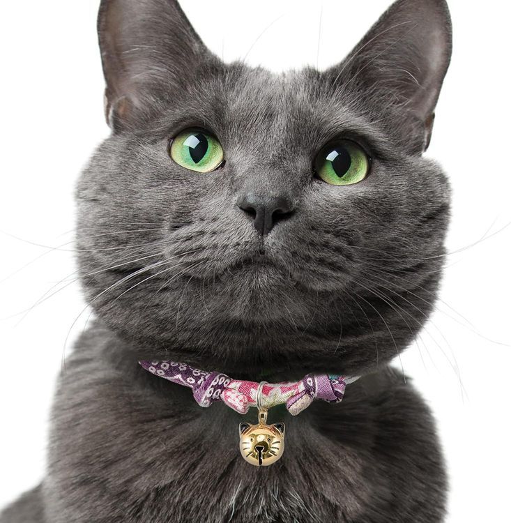 No. 4 - NECOICHI Cat Collar Charms - 4