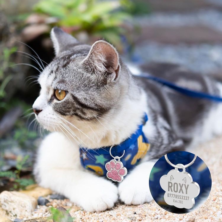 No. 10 - Custom Pet ID Tag - 5