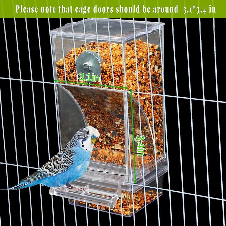 No. 9 - Automatic Parrot Feeder - 4