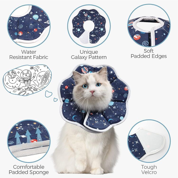 No. 3 - ComSaf Cat Recovery Collar - 3