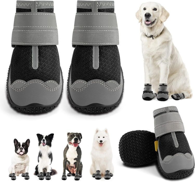 No. 10 - Dog Shoes for Large Dogs - 1