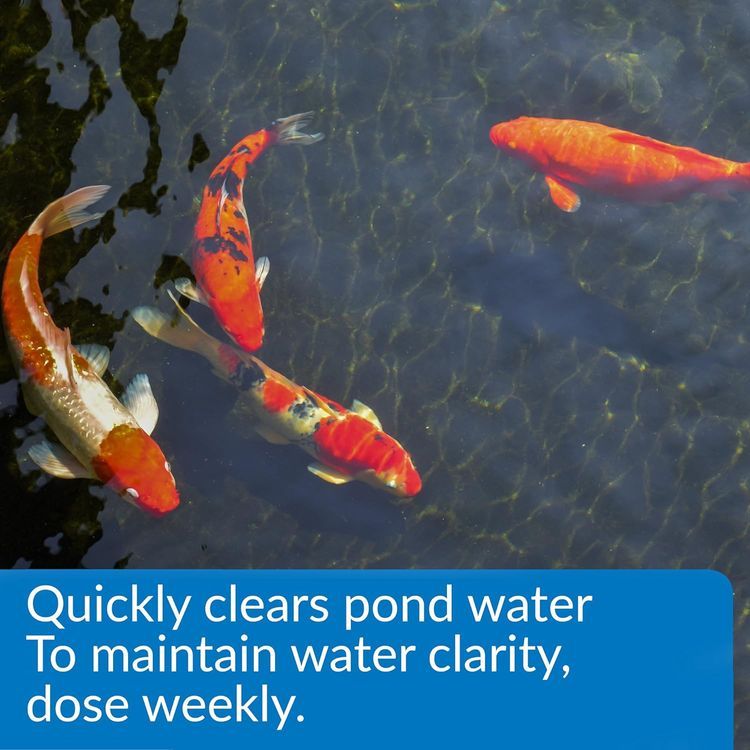No. 4 - API POND ACCU-CLEAR - 2