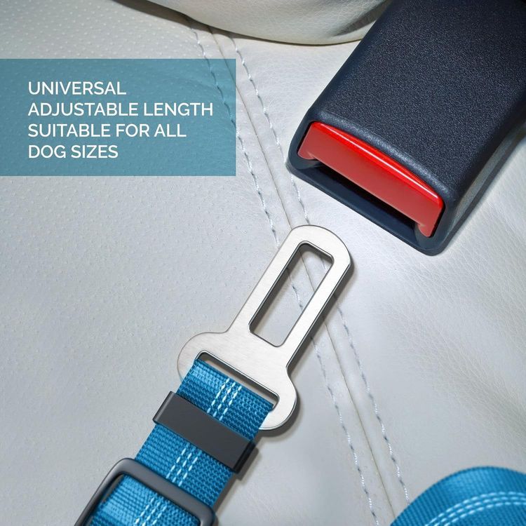 No. 9 - Dog Car Seat Belt - 5