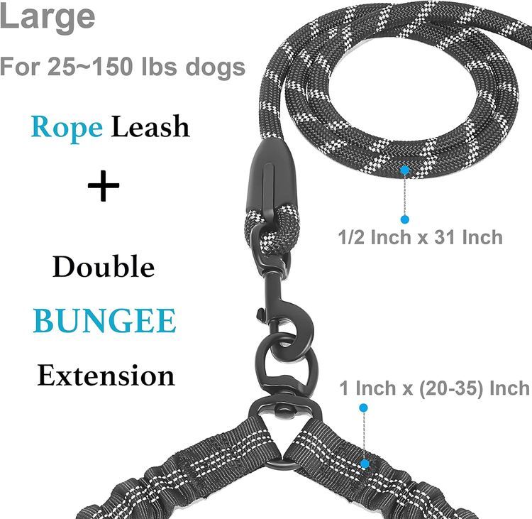 No. 1 - iYoShop Dual Dog Leash - 2