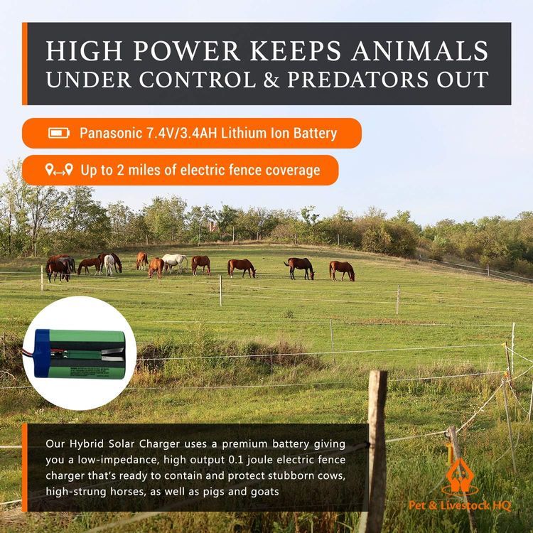 No. 10 - Solar Electric Fence Charger - 5