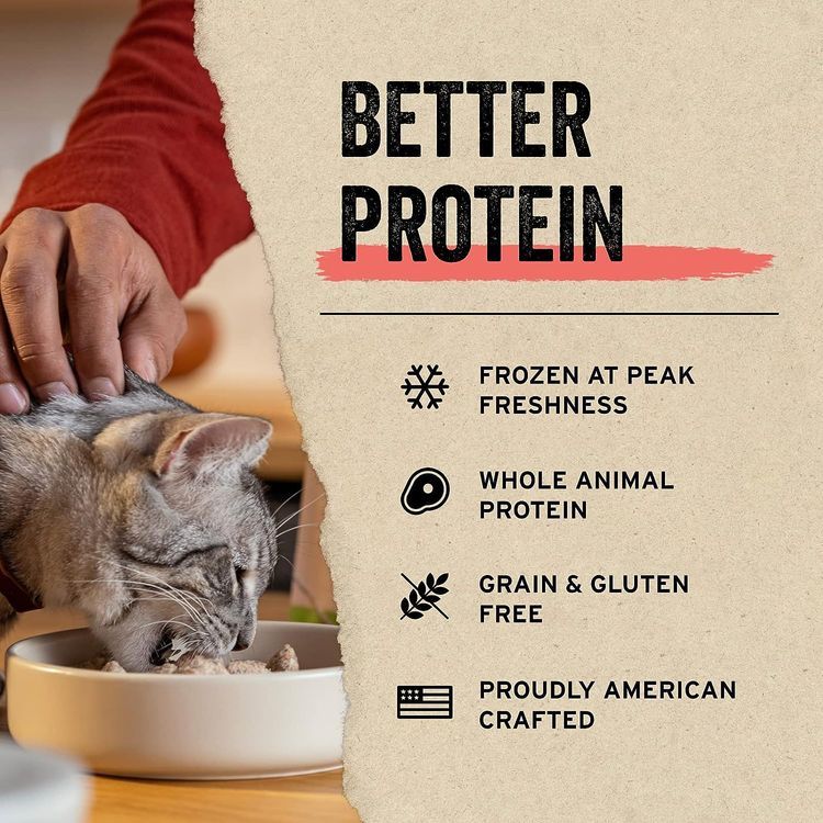 No. 10 - Vital Essentials Freeze Dried Cat Food - 4
