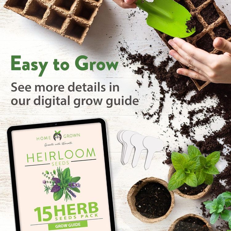 No. 2 - 4500+ Heirloom Herb Seed Pack - 5