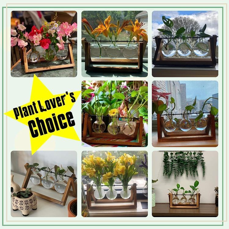 No. 1 - Wooden Stand Glass Planter Terrariums - 5