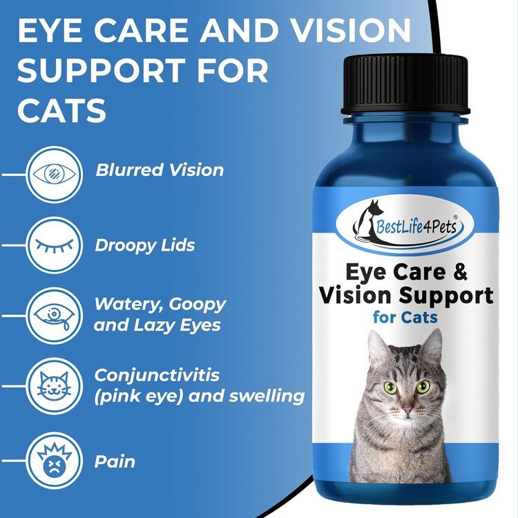 No. 2 - BestLife4Pets Eye Care and Vision Support - 3