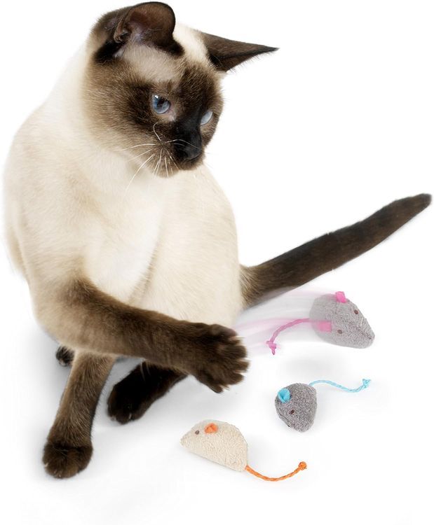 No. 2 - SmartyKat Skitter Critters Catnip Cat Toys - 3