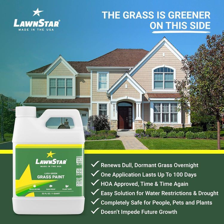 No. 4 - LawnStar Grass Paint - 5