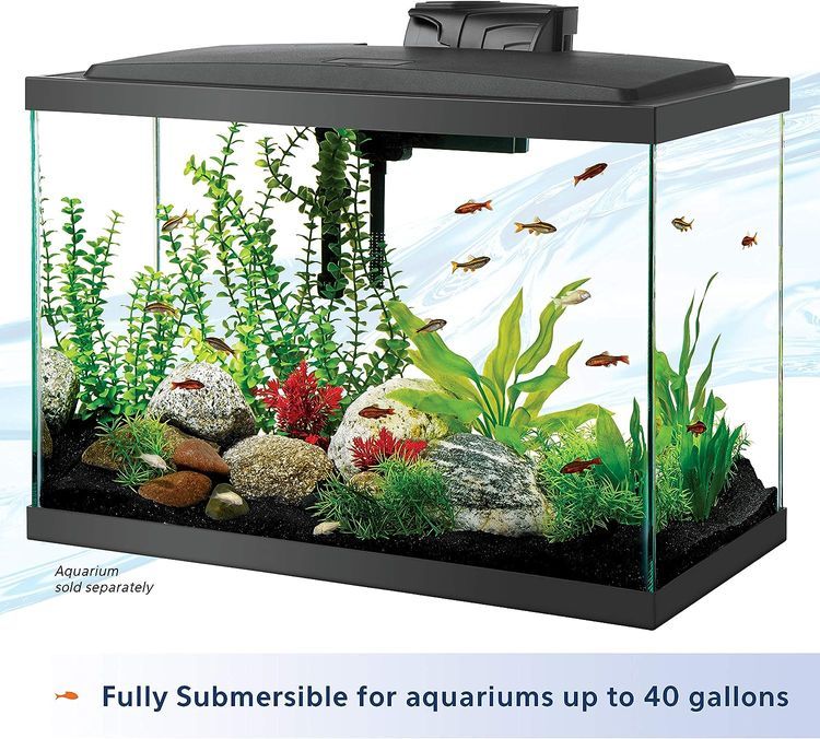 No. 4 - Aqueon Aquarium Fish Tank Preset Heater - 5