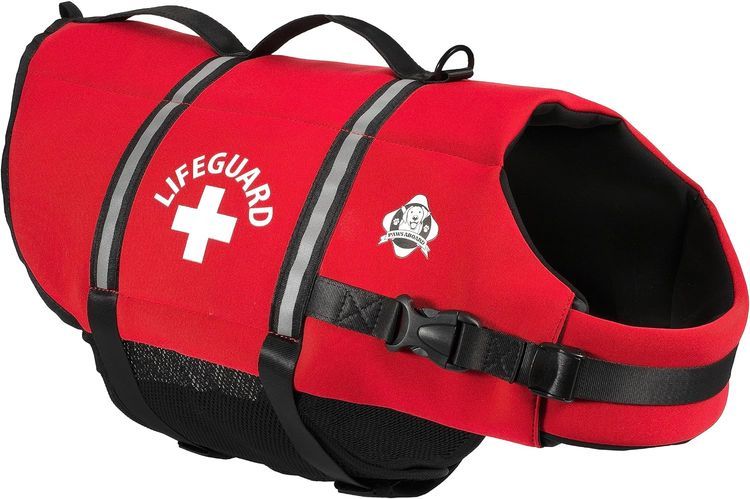 No. 7 - Paws Aboard Dog Life Jacket - 2