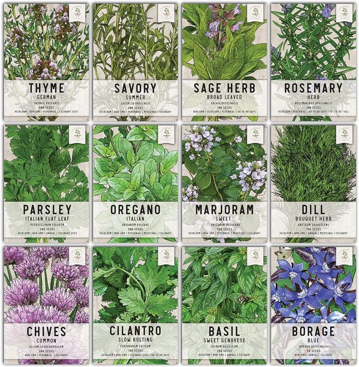 No. 3 - Seed Needs, Culinary Herb Collection - 1