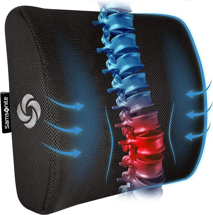 No. 1 - Samsonite Lumbar Support Pillow - 1