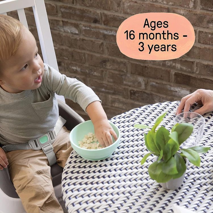 No. 7 - Ingenuity SmartClean Toddler Booster Seat - 4