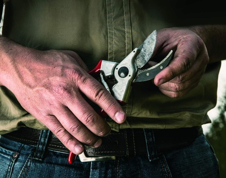 No. 9 - FELCO F-2 Classic Manual Hand Pruner - 4