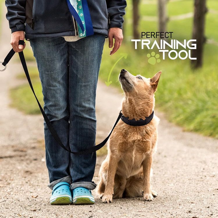 No. 9 - RamPro Dog Training Collar - 4
