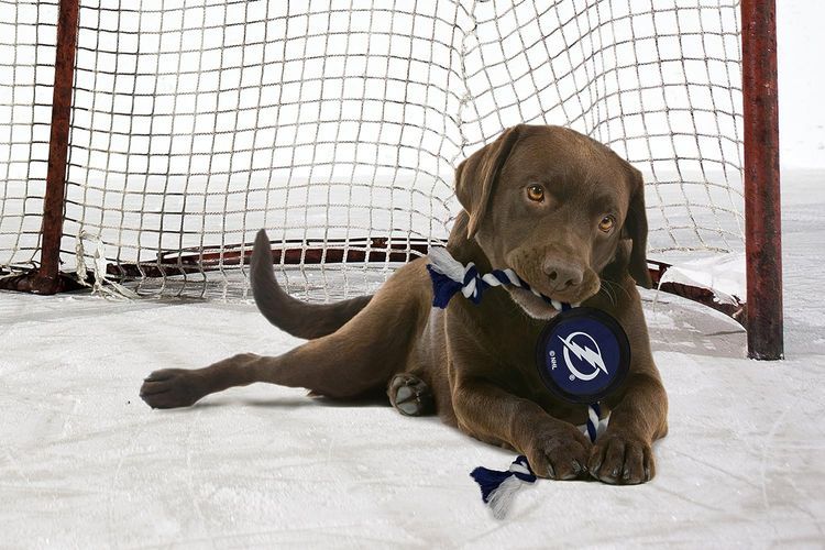 No. 5 - Hockey Puck Dog Toy - 2