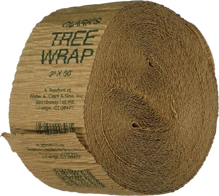 No. 10 - Walter E Clark 3-Inch Tree Wrap - 1