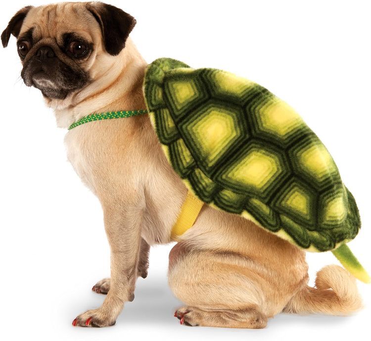 No. 4 - Turtle Shell Pet Backpack - 1