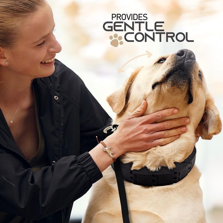 No. 9 - RamPro Dog Training Collar - 3
