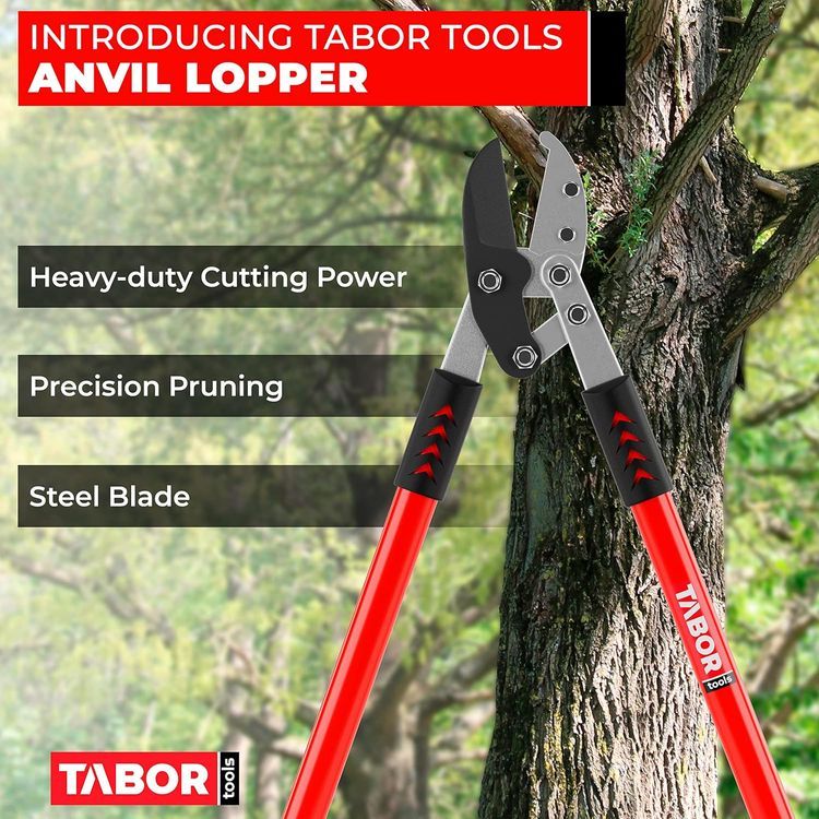 No. 3 - TABOR TOOLS GG12A Anvil Lopper - 2