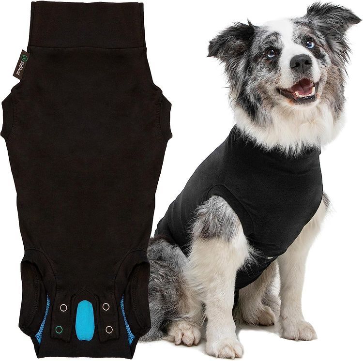 No. 1 - Suitical Dog Surgery Suit - 1