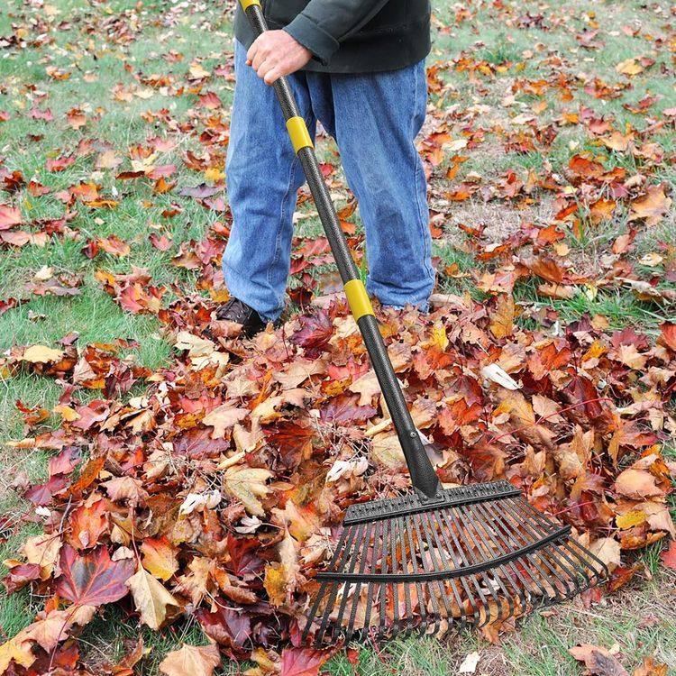 No. 6 - Metal Leaf Rake - 2