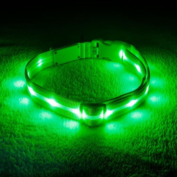 No. 10 - Blazin Light Up Dog Collars - 1