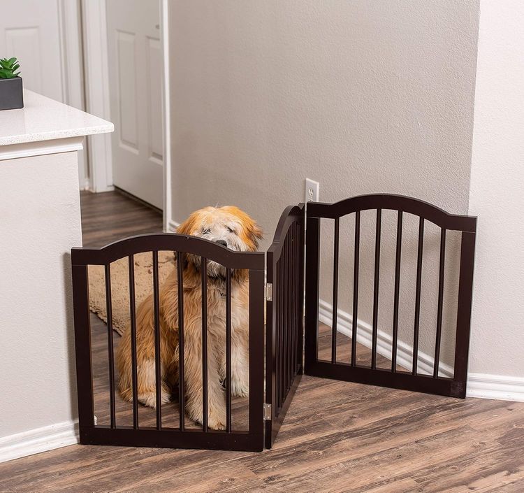 No. 8 - Arched Top Dog Gate - 2