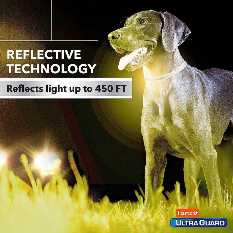 No. 3 - Hartz UltraGuard Pro Reflective Collar - 5