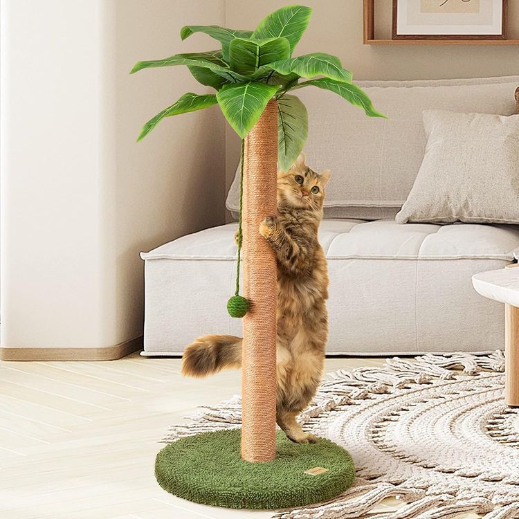 No. 8 - Cat Scratching Post - 1