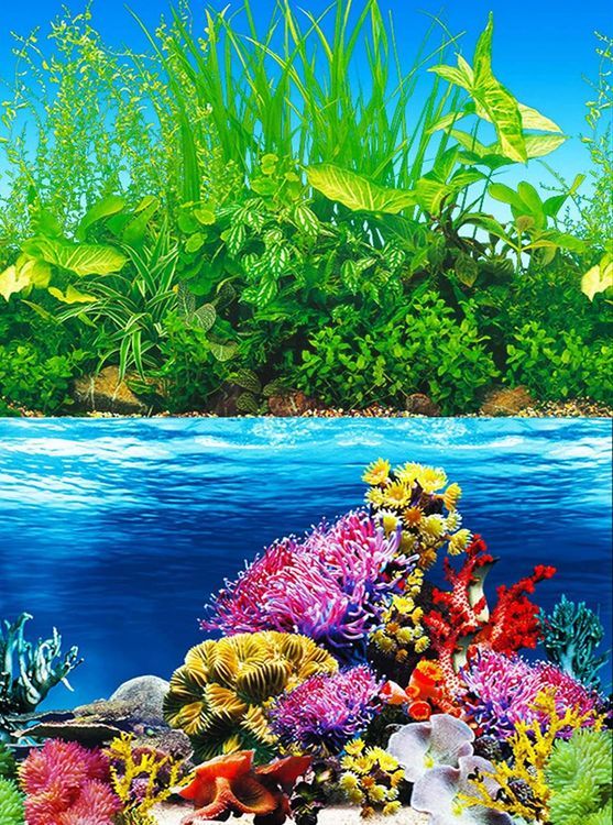 No. 7 - ELEBOX Fish Backgrounds Paper Double Sides Aquarium Background - 1