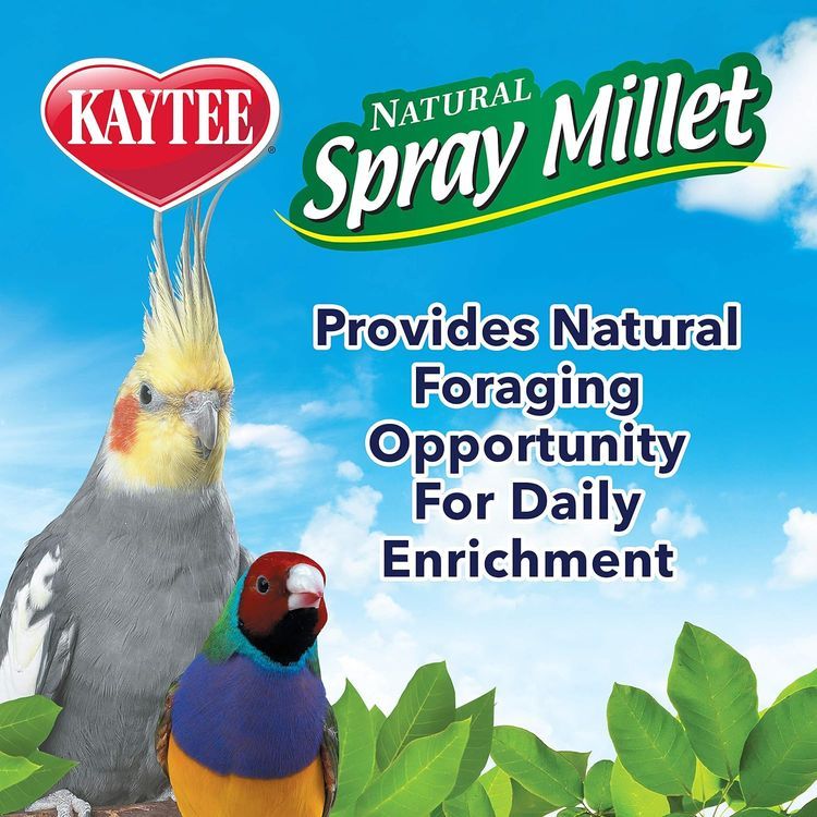 No. 3 - Kaytee Spray Millet Treat - 5