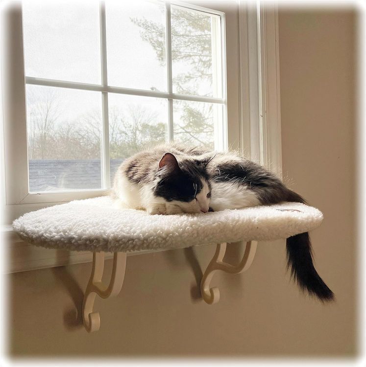 No. 7 - K&H Pet Products Cat Window Perch - 1