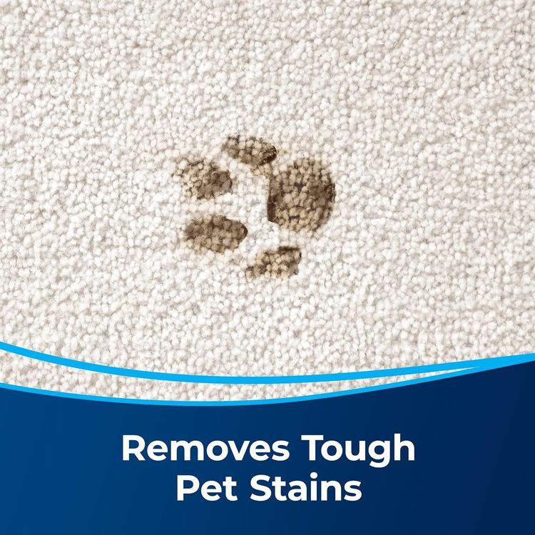 No. 10 - OxyPro Pet Carpet Spot & Stain Remover - 5