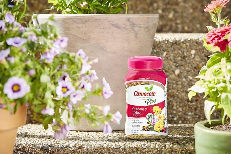 No. 10 - Osmocote Smart-Release Plant Food Plus Outdoor & Indoor - 2