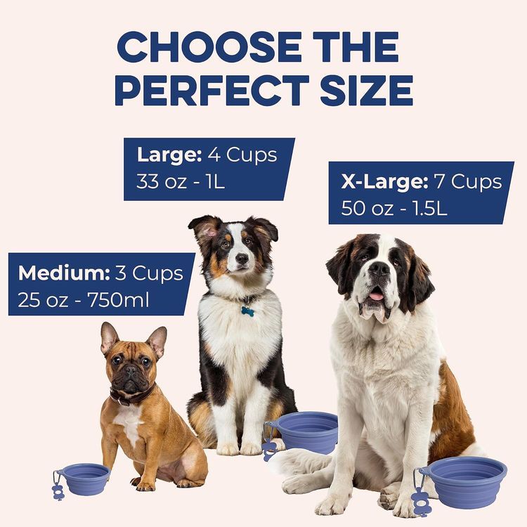 No. 3 - Large Collapsible Dog Bowl - 3