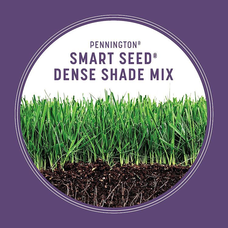 No. 9 - Pennington Smart Seed Dense Shade Grass Mix - 5