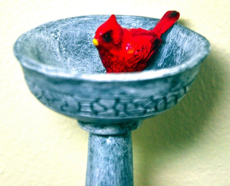 No. 10 - Cardinal Birdbath - 3