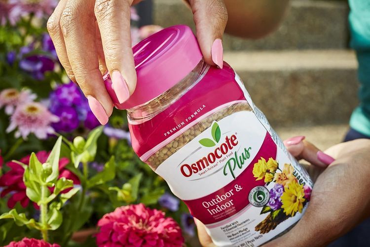 No. 10 - Osmocote Smart-Release Plant Food Plus Outdoor & Indoor - 4