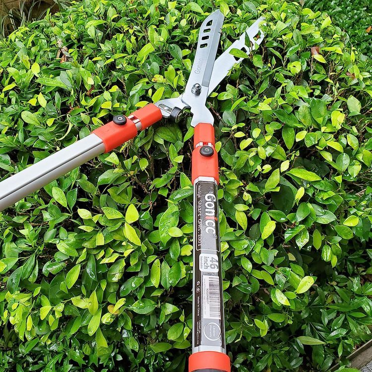 No. 8 - Gonicc Hedge Shears - 5