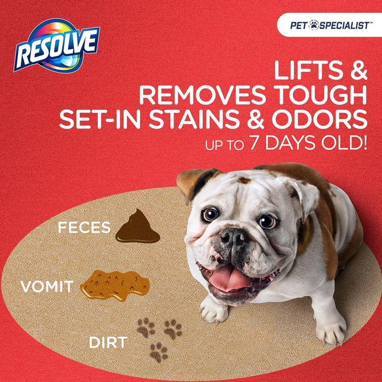 No. 8 - Resolve Pet Specialist Heavy Traffic Foam Carpet Cleaner - 2