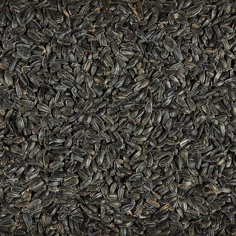 No. 6 - Kaytee Wild Bird Black Oil Sunflower Food - 4