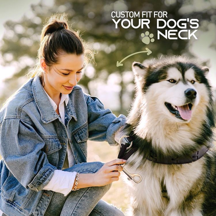 No. 9 - RamPro Dog Training Collar - 2