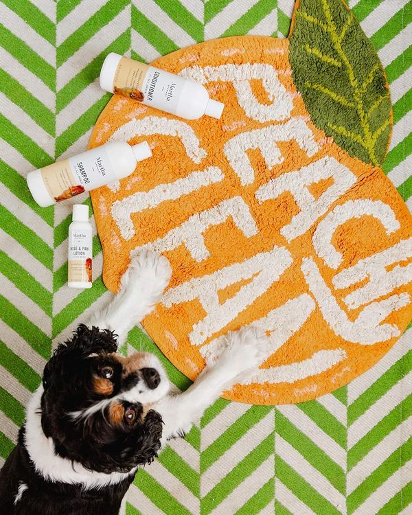 No. 5 - Martha Stewart for Pets Paw and Nose Lotion for Dogs - 5