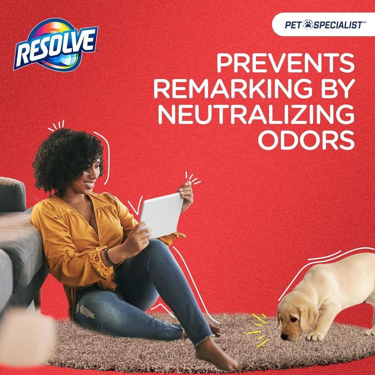 No. 8 - Resolve Pet Specialist Heavy Traffic Foam Carpet Cleaner - 4